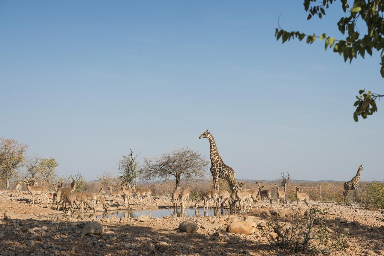 Ongava Lodge Окаукуехо Екстериор снимка